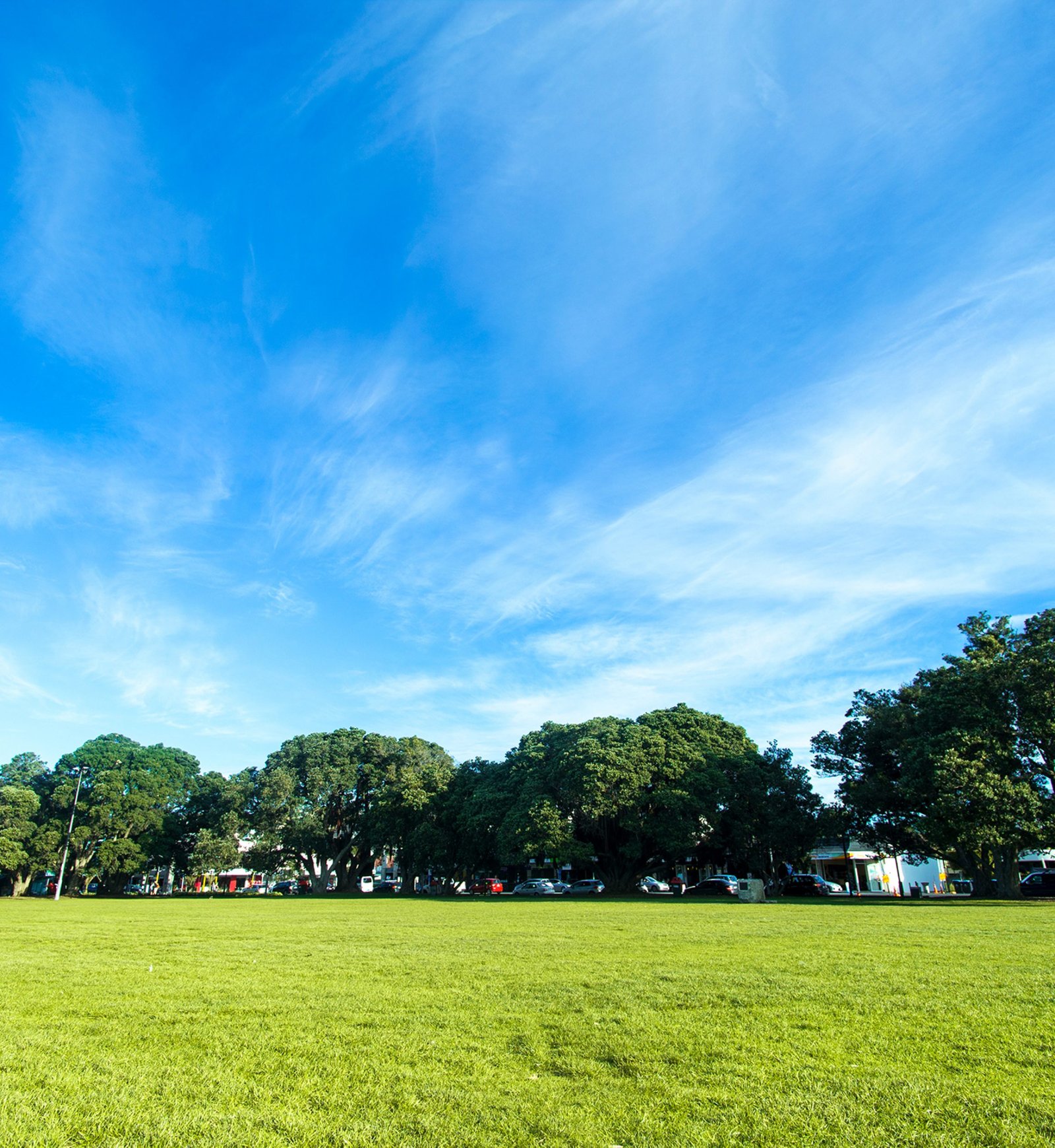 green-grass-golf-field